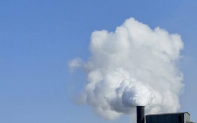Whole Nine Yards: Albanese government fossil project tally rises to 9