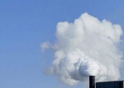 Whole Nine Yards: Albanese government fossil project tally rises to 9