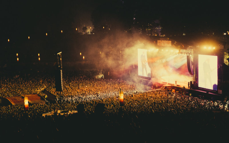 Splendour in the Grass