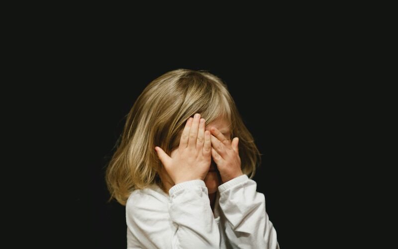 NSW NCAT, child protection