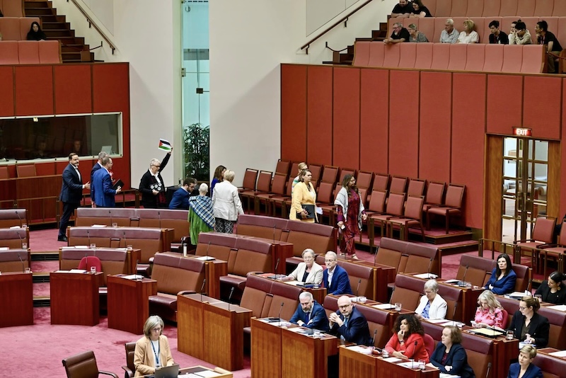 David Shoebridge, Australia Senate, Defence