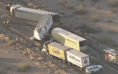 Truck safety whistleblower Roxanne Mysko dodges jail, slammed with legal costs