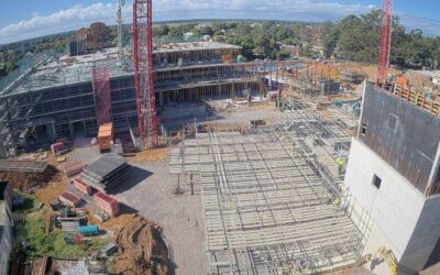 Can the con be stopped? CFMEU whistleblower on gangsters, unions and workers entitlements