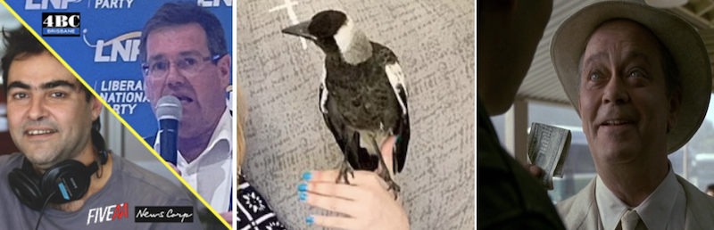 Shock jocks (left) politicians and assorted celebrities have rallied behind the couple that re-homed Molly the Magpie 