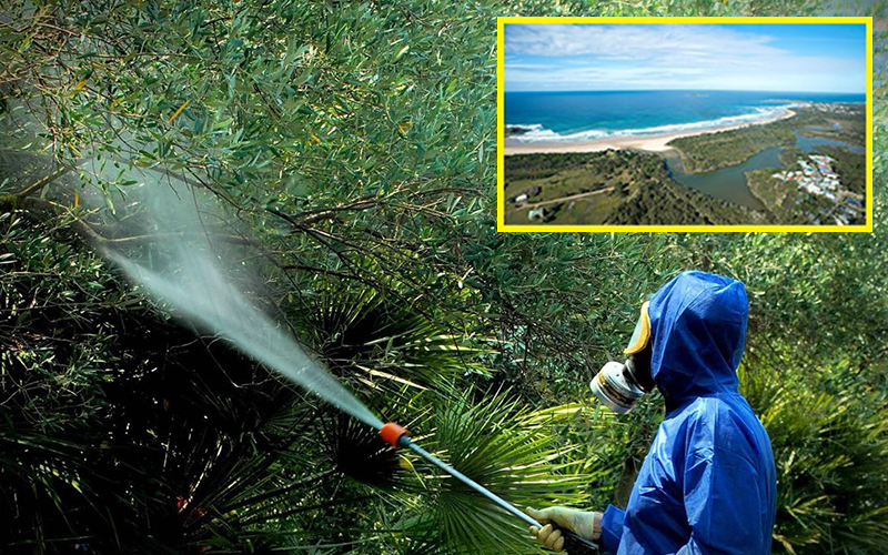 Blueberry Hill pesticide