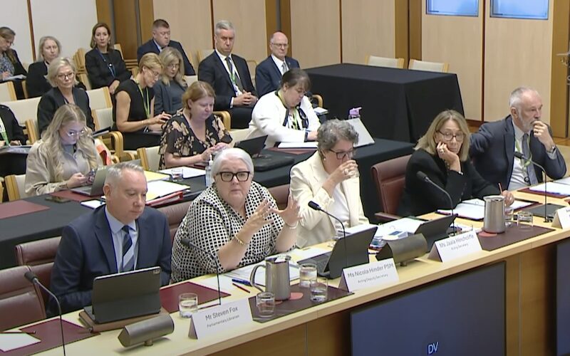 DPS bosses before Senate Estimates