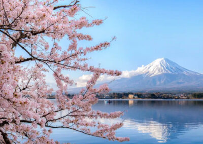 Konnichiwa! The Japanese are not so keen on our gas. What’s the scam?