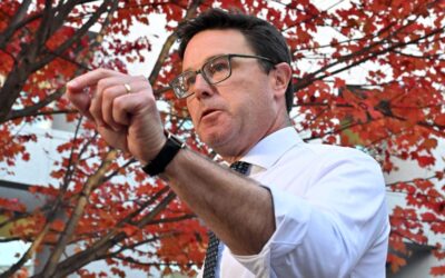 Nationals leader fends off challenge after party vote