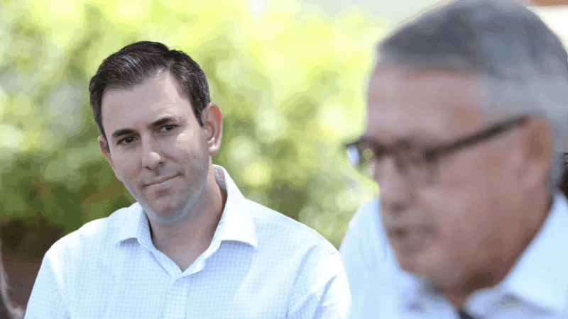 Jim Chalmers and Wayne Swan
