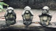 Three monkeys