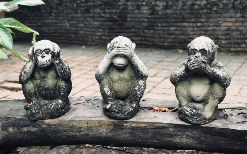 Three monkeys