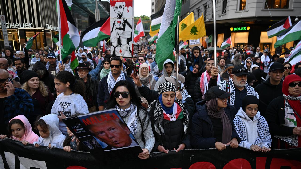 Pro-Palestine supporters