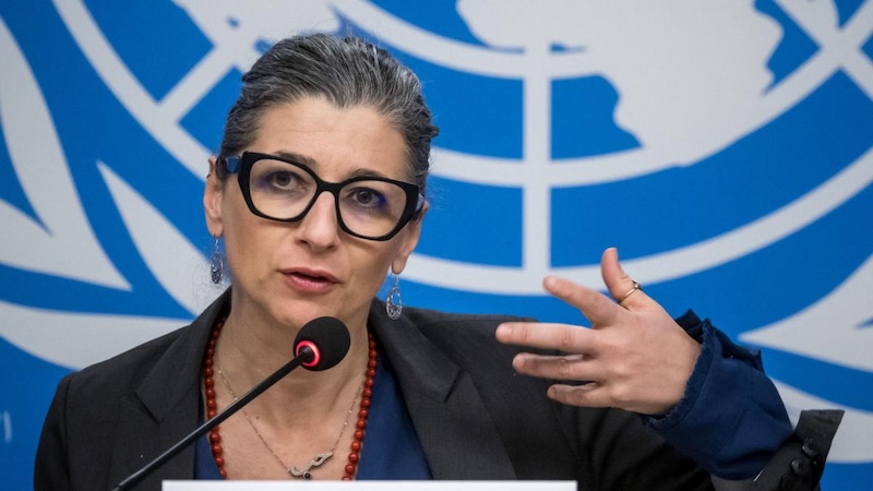 UN Special Rapporteur Francesa Albanese. Image: X