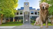ASIC watchpuppy