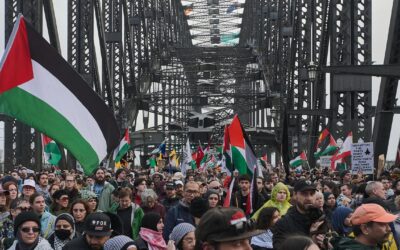 ‘Dam has burst’: Palestine support swells before march