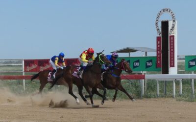 Brotherly bond key to Birdsville Races epic journey