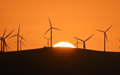Big business seeks new dawn for environmental laws
