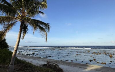 Albanese refuses to release Nauru deal details