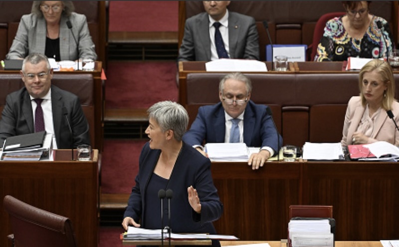 With Labor's majority in the House, the Senate is where the action is. Image: Senate, Instagram