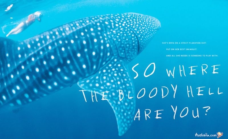 Whale of a story finally surfaces. Scomo's payout. Image: Tourism Australia