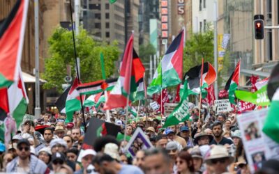 ‘Stop this genocide’: plea for lasting Gaza ceasefire