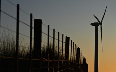 Passing major nature reforms matter of ‘now or never’