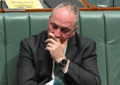 ‘It’ll end in tears’: former One Nation MP warns Joyce
