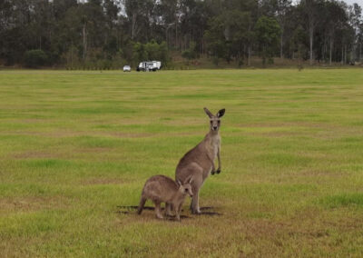 Work-from-roam. Transparency warrior Rex Patrick hits the road.