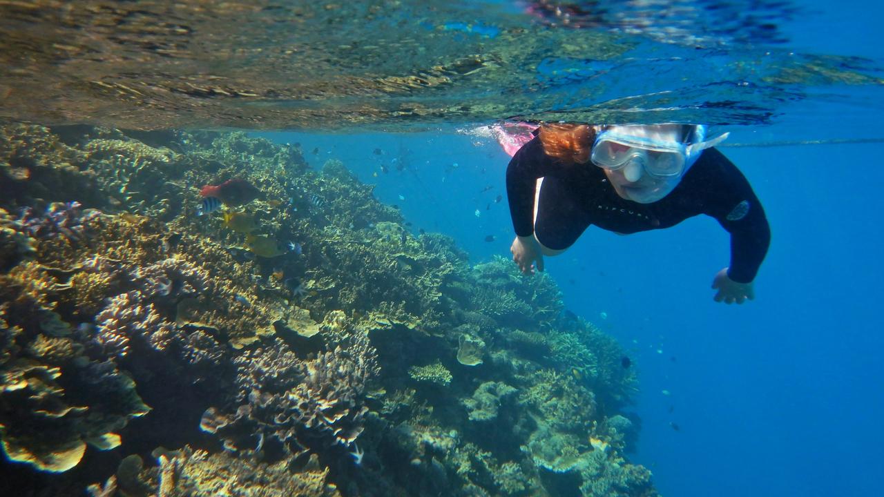 Snorkelling on the Great Barrier Reef
