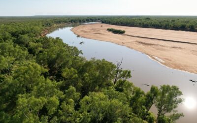 Nature overhaul unlikely to stall key project approvals