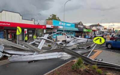 Man dies under falling tree as storms take their toll