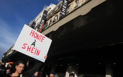 France moves to suspend Shein over sex dolls