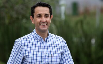 LNP, premier celebrate huge swing in by-election win