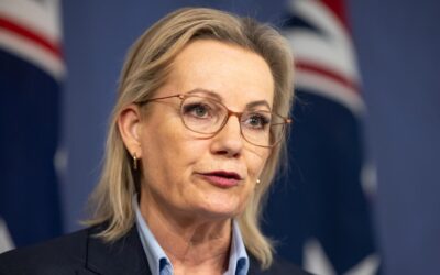 Moderate MPs rally around Ley amid leadership turmoil