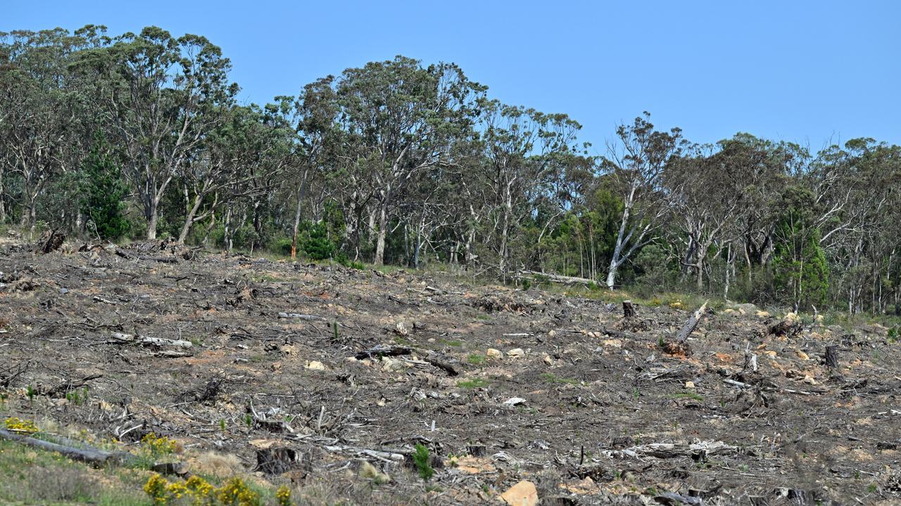 land clearing on the Kings Highway,