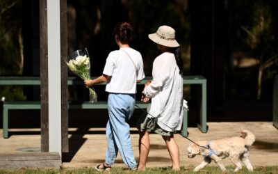 Floral tributes for teen allegedly murdered near school