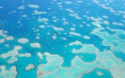 Legal loopholes threaten reef, ex-Treasury boss warns