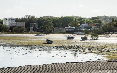 Golden eye on northern island after spot price surge