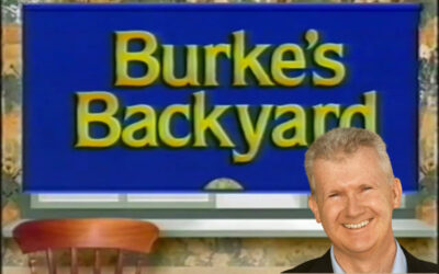 Burke’s backyard. Local content deal for streamers not what it seems.