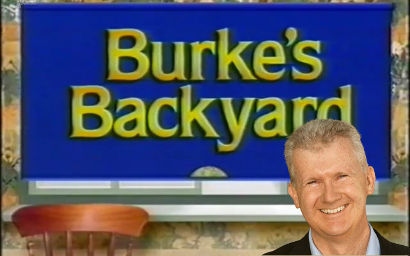 Burke's backyard