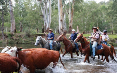 Spring racing fever. EPIC Cup unbackable favourite revealed