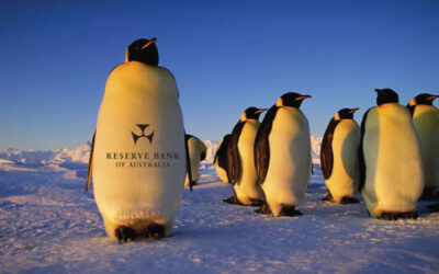 Interest rates stay. The Reserve Bank penguins are back.