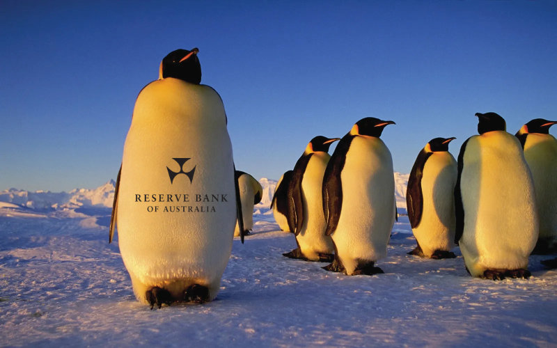 RBA Emperor Penguins