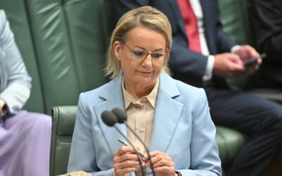 ‘Can’t keep being negative’: ex-leader lashes Ley, Libs