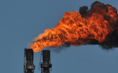 Forests, finance, fossils: climate talks hit full steam