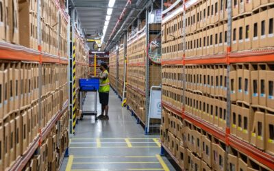 Insight on cash rate pause as economy runs at capacity