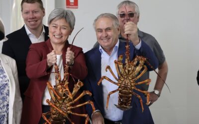 Wong, Farrell, DFAT duck for cover on rising Israel trade, genocide risk