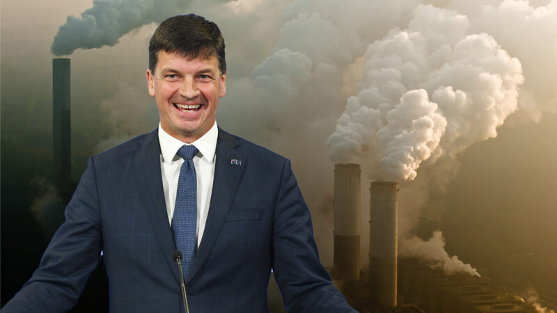 Master of coal, Angus Taylor
