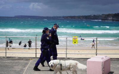 Cops ramp up firepower amid calls to celebrate new year