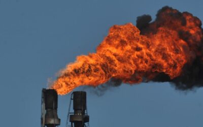 ‘Climate obstruction’ alarms raised with museum sponsor